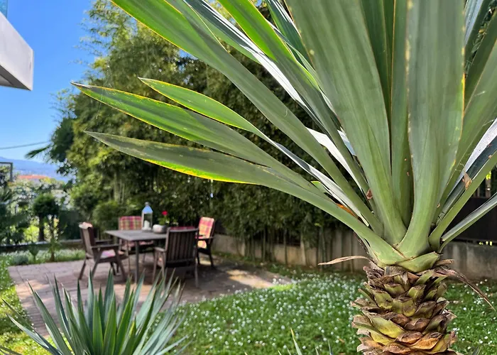 Marjanovic Lägenhet